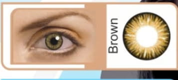 SunSoft Brown Voil Pack